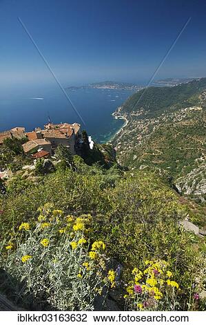 "Jardin Exotique botanical garden, Departement Alpes-Maritimes, Region Provence-Alpes-Cote d? ÇÖAzur, France, Europe" View Large Photo Image Stock Image - "Jardin Exotique botanical garden, Departement Alpes-Maritimes, Region Provence-Alpes-Cote d? ÇÖAzur, France, Europe". Fotosearch