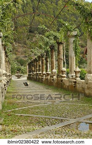 "Jardines de Alfabia, Arab gardens with a historic mansion at the foot of the Serra d'Alfabia, Majorca, Mallorca, Balearic Islands, Spain, Europe" View Large Photo Image Stock Image - "Jardines de Alfabia, Arab gardens with a historic mansion at the foot of the Serra d'Alfabia, Majorca, Mallorca, Balearic Islands, Spain, Europe". Fotosearch