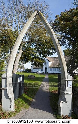 "Jawbones of a whale, Sylt Local History Museum, Keitum, Sylt, North Frisia, Schleswig-Holstein, Germany, Europe" View Large Photo Image Stock Image - "Jawbones of a whale, Sylt Local History Museum, Keitum, Sylt, North Frisia, Schleswig-Holstein, Germany, Europe". Fotosearch