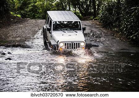 "Jeep crossing a stream in Waipio Valley, Big Island, Hawaii, United States, North America" View Large Photo Image Stock Image - "Jeep crossing a stream in Waipio Valley, Big Island, Hawaii, United States, North America". Fotosearch