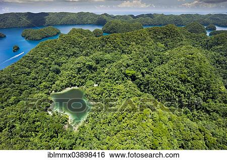 Stock Photograph - "Jellyfish Lake on the island paradise of Palau, Micronesia, Oceania". Fotosearch