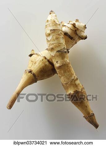 Jerusalem artichokes View Large Photo Image Stock Image - Jerusalem artichokes. Fotosearch