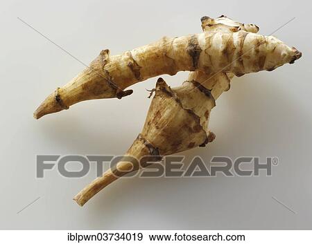 Jerusalem artichokes View Large Photo Image Stock Photo - Jerusalem artichokes. Fotosearch