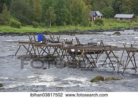 "Jetty for the traditional fishing on the Karunginjaervi RIver, Norrbotten County, Sweden, Europe" View Large Photo Image Stock Image - "Jetty for the traditional fishing on the Karunginjaervi RIver, Norrbotten County, Sweden, Europe". Fotosearch