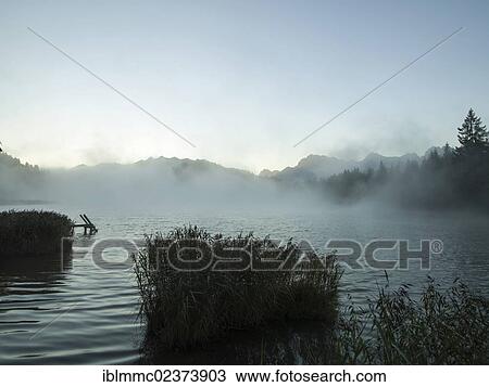 "Jetty with a ladder at Geroldsee lake in the morning mist, Bavaria, Germany, Europe" View Large Photo Image Stock Image - "Jetty with a ladder at Geroldsee lake in the morning mist, Bavaria, Germany, Europe". Fotosearch
