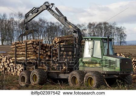 "John Deere 1410D Forwarder stacking felled timber from pine plantation, Stirlingshire, Scotland, United Kingdom, Europe" View Large Photo Image Stock Image - "John Deere 1410D Forwarder stacking felled timber from pine plantation, Stirlingshire, Scotland, United Kingdom, Europe". Fotosearch