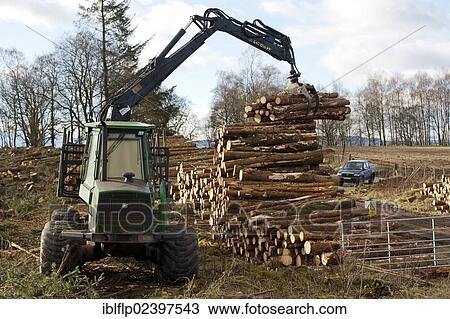 "John Deere 1410D Forwarder stacking felled timber from pine plantation, Stirlingshire, Scotland, United Kingdom, Europe, John Deere 14 10 d, the grabber is integral to the machine, horsepower 183, the boom reach is 8. 5, load rating 13, Europe" View Large Photo Image Stock Image - "John Deere 1410D Forwarder stacking felled timber from pine plantation, Stirlingshire, Scotland, United Kingdom, Europe, John Deere 14 10 d, the grabber is integral to the machine, horsepower 183, the boom reach is 8. 5, load rating 13, Europe". Fotosearch