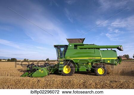"John Deere combine harvester, harvesting Barley (Hordeum vulgare) crop, discharging chaff and straw waste from back, England, United Kingdom, Europe" View Large Photo Image Stock Image - "John Deere combine harvester, harvesting Barley (Hordeum vulgare) crop, discharging chaff and straw waste from back, England, United Kingdom, Europe". Fotosearch