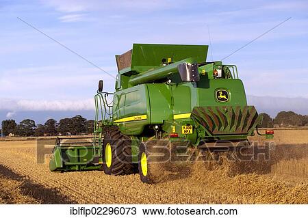 "John Deere combine harvester, harvesting Barley (Hordeum vulgare) crop, discharging chaff and straw waste from back, England, United Kingdom, Europe" View Large Photo Image Stock Image - "John Deere combine harvester, harvesting Barley (Hordeum vulgare) crop, discharging chaff and straw waste from back, England, United Kingdom, Europe". Fotosearch