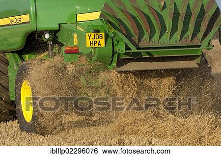 "John Deere combine harvester, harvesting Barley (Hordeum vulgare) crop, discharging chaff and straw waste from back, England, United Kingdom, Europe" View Large Photo Image Stock Photograph - "John Deere combine harvester, harvesting Barley (Hordeum vulgare) crop, discharging chaff and straw waste from back, England, United Kingdom, Europe". Fotosearch