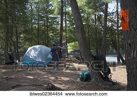 "John West, 65, and his son Joey, 13, set up their campsite during a canoe trip, Algonquin Provincial Park, Ontario, Canada, North America" View Large Photo Image Picture - "John West, 65, and his son Joey, 13, set up their campsite during a canoe trip, Algonquin Provincial Park, Ontario, Canada, North America". Fotosearch