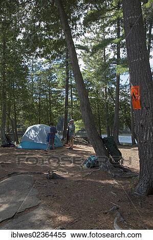 "John West, 65, and his son Joey, 13, set up their campsite during a canoe trip, Algonquin Provincial Park, Ontario, Canada, North America" View Large Photo Image Stock Photography - "John West, 65, and his son Joey, 13, set up their campsite during a canoe trip, Algonquin Provincial Park, Ontario, Canada, North America". Fotosearch