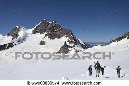 Picture - "Jungfraujoch, Jungfrau Mountain, Aletsch Glacier, Grindelwald, Bernese Oberland, Canton of Bern, Switzerland, Europe". Fotosearch