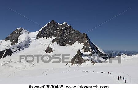 Stock Photography - "Jungfraujoch, Jungfrau Mountain, Aletsch Glacier, Grindelwald, Bernese Oberland, Canton of Bern, Switzerland, Europe". Fotosearch