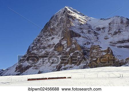 "Jungfraujoch train in front of the Eiger mountain, Swiss Alps, Switzerland, Europe" View Large Photo Image Stock Photo - "Jungfraujoch train in front of the Eiger mountain, Swiss Alps, Switzerland, Europe". Fotosearch