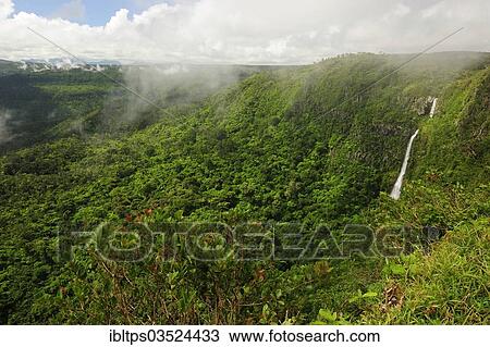 "Jungle landscape, Black River Gorges National Park, Mauritius, Africa" View Large Photo Image Stock Image - "Jungle landscape, Black River Gorges National Park, Mauritius, Africa". Fotosearch