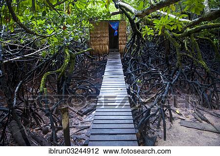 "Jungle toilet on an islet, Marovo Lagoon, Western Province, Solomon Islands, Oceania" View Large Photo Image Stock Image - "Jungle toilet on an islet, Marovo Lagoon, Western Province, Solomon Islands, Oceania". Fotosearch