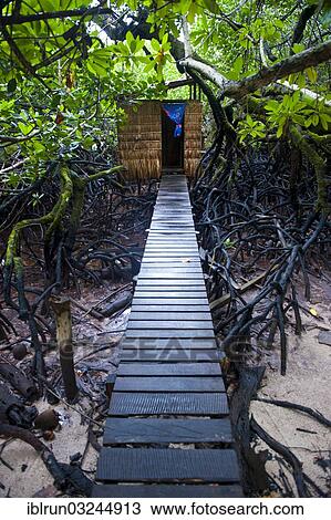 "Jungle toilet on an islet, Marovo Lagoon, Western Province, Solomon Islands, Oceania" View Large Photo Image Stock Image - "Jungle toilet on an islet, Marovo Lagoon, Western Province, Solomon Islands, Oceania". Fotosearch