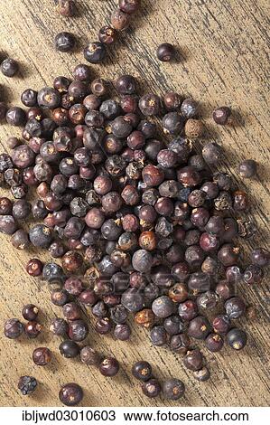 Stock Image - Juniper berries. Fotosearch