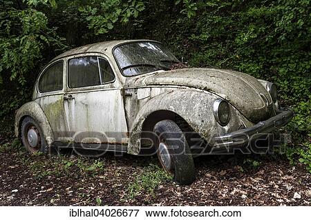 "Junk car, old VW Beetle left in the woods, near Gardone, Lombardy, Italy, Europe" View Large Photo Image Stock Photo - "Junk car, old VW Beetle left in the woods, near Gardone, Lombardy, Italy, Europe". Fotosearch