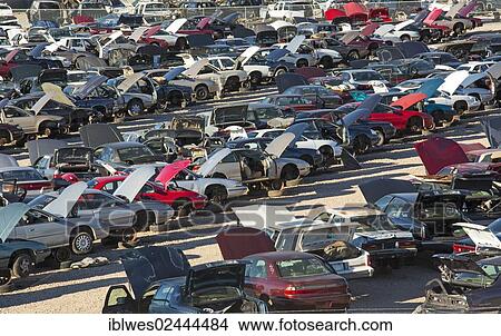 "Junk cars at a scrap yard, Alexandria, Louisiana, USA" View Large Photo Image Picture - "Junk cars at a scrap yard, Alexandria, Louisiana, USA". Fotosearch