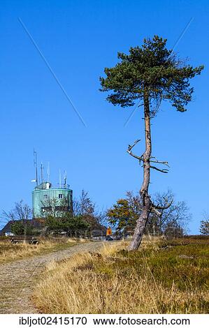 Kahler Asten mountain, 841. 9 m, Astenturm tower, an observation tower, weather station, restaurant and hotel, Rothaargebirge mountain range, Hochsauerlandkreis district, Sauerland, North Rhine-Westphalia, Germany, Europe View Large Photo Image Stock Image - Kahler Asten mountain, 841. 9 m, Astenturm tower, an observation tower, weather station, restaurant and hotel, Rothaargebirge mountain range, Hochsauerlandkreis district, Sauerland, North Rhine-Westphalia, Germany, Europe. Fotosearch