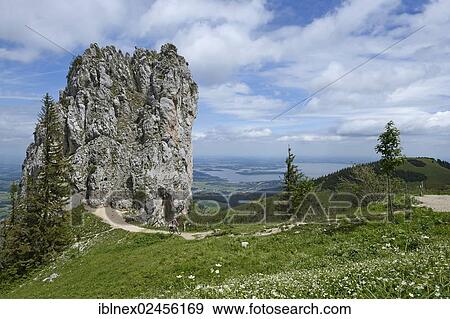 "Kampenwand Mountain near Staffelstein, mountain biker at the front, Lake Chiemsee, Chiemgau, Bavaria, Germany, Europe" View Large Photo Image Stock Photo - "Kampenwand Mountain near Staffelstein, mountain biker at the front, Lake Chiemsee, Chiemgau, Bavaria, Germany, Europe". Fotosearch