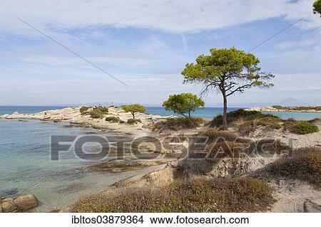 Picture - "Karidi beach in Vourvourou, Chalkidiki, Greece, Europe". Fotosearch