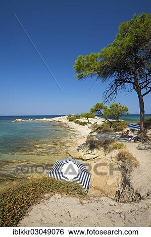 "Karidi Beach, Vouvourou, Sithonia, Chalkidiki, Greece, Europe" View Large Photo Image Stock Photograph - "Karidi Beach, Vouvourou, Sithonia, Chalkidiki, Greece, Europe". Fotosearch