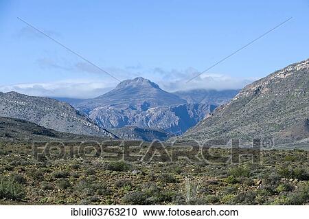 "Karoo vegetation, mountains and house, Prince Albert, Western Cape, South Africa, Africa" View Large Photo Image Stock Image - "Karoo vegetation, mountains and house, Prince Albert, Western Cape, South Africa, Africa". Fotosearch