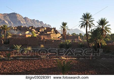 "Kasbah Tamnougalt with Date Palms (Phoenix dactylifera) near Agdz, Draatal, Tamnougalt, Souss-Massa-Draa region, Morocco, Africa" View Large Photo Image Stock Image - "Kasbah Tamnougalt with Date Palms (Phoenix dactylifera) near Agdz, Draatal, Tamnougalt, Souss-Massa-Draa region, Morocco, Africa". Fotosearch