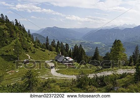 "Katrin-Alm alp, Katergebirge mountains near Bad Ischl, in the valley of Bad Goisern, Salzkammergut resort area, Traunviertel region, Upper Austria, Austria, Europe" View Large Photo Image Stock Image - "Katrin-Alm alp, Katergebirge mountains near Bad Ischl, in the valley of Bad Goisern, Salzkammergut resort area, Traunviertel region, Upper Austria, Austria, Europe". Fotosearch