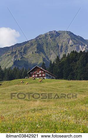 "Kaualpe alp and Winterstaude mountain near Schetteregg, Egg, Bregenz Forest, Vorarlberg, Austria, Europe" View Large Photo Image Stock Image - "Kaualpe alp and Winterstaude mountain near Schetteregg, Egg, Bregenz Forest, Vorarlberg, Austria, Europe". Fotosearch