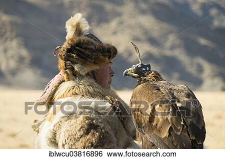 "Kazakh eagle hunter wearing wolf fur holding an Festival in Sagsai, Bayan-Olgii Aimag, Mongolia, Asia" View Large Photo Image Stock Photograph - "Kazakh eagle hunter wearing wolf fur holding an Festival in Sagsai, Bayan-Olgii Aimag, Mongolia, Asia". Fotosearch