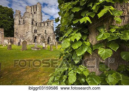 "Kelso Abbey, Kelso, Scottish Borders, Scotland, United Kingdom, Europe" View Large Photo Image Stock Photograph - "Kelso Abbey, Kelso, Scottish Borders, Scotland, United Kingdom, Europe". Fotosearch