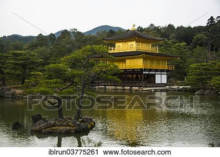 "Kinkaku-ji or Golden Pavilion, Buddhist temple, Kyoto, Japan, Asia" View Large Photo Image Stock Image - "Kinkaku-ji or Golden Pavilion, Buddhist temple, Kyoto, Japan, Asia". Fotosearch