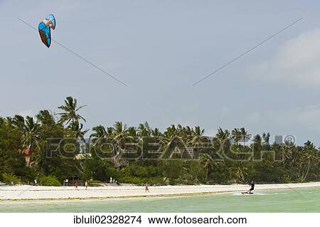 "Kite surfer in Bwejuu, east coast of Zanzibar, Tanzania, Africa" View Large Photo Image Picture - "Kite surfer in Bwejuu, east coast of Zanzibar, Tanzania, Africa". Fotosearch