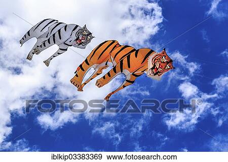 "Kites at the Festival internazionale dell'Aquilone 2013 kite festival, Cervia, Emilia-Romagna, Italy, Europe" View Large Photo Image Stock Photo - "Kites at the Festival internazionale dell'Aquilone 2013 kite festival, Cervia, Emilia-Romagna, Italy, Europe". Fotosearch