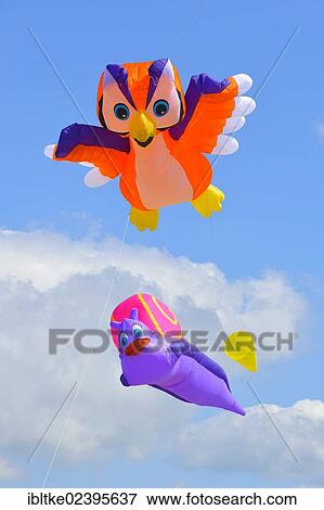 Stock Photo - "Kites in the air, Kite Festival 2012, St. Peter-Ording, Schleswig-Holstein, Germany, Europe". Fotosearch