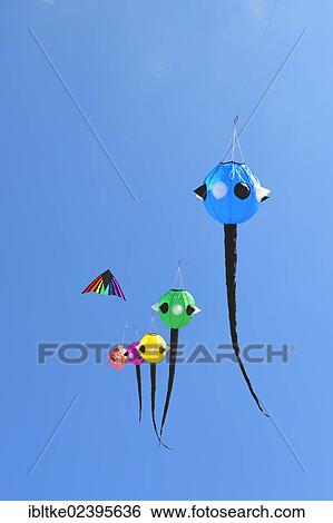 "Kites in the air, Kite Festival 2012, St. Peter-Ording, Schleswig-Holstein, Germany, Europe" View Large Photo Image Stock Photograph - "Kites in the air, Kite Festival 2012, St. Peter-Ording, Schleswig-Holstein, Germany, Europe". Fotosearch