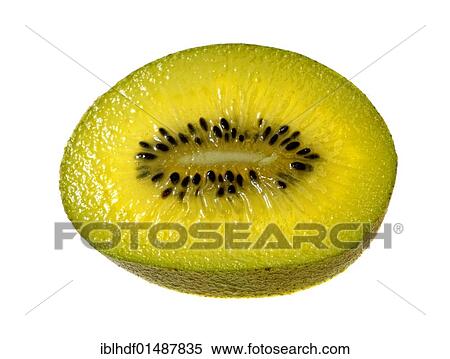 Kiwi (Actinidia) View Large Photo Image Stock Photography - Kiwi (Actinidia). Fotosearch