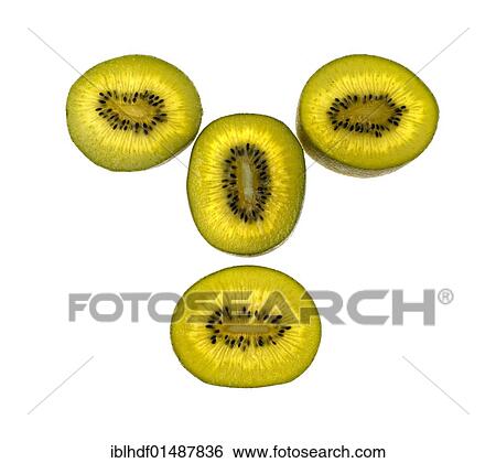 Kiwis (Actinidia) View Large Photo Image Stock Photograph - Kiwis (Actinidia). Fotosearch