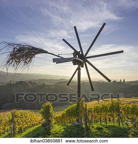 Stock Image - "Klapotetz bird scarer and a vineyard in the evening light, Spicnik, Pesnica, Slovenia, Europe". Fotosearch