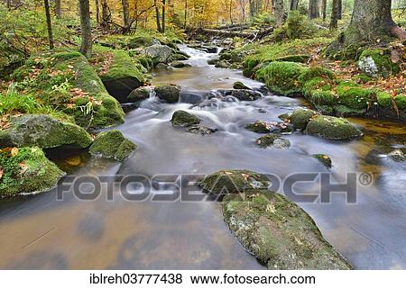 "Kleine Ohe stream, Bavarian Forest National Park, Bavaria, Germany, Europe" View Large Photo Image Stock Photo - "Kleine Ohe stream, Bavarian Forest National Park, Bavaria, Germany, Europe". Fotosearch