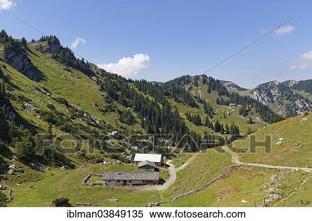 Stock Photography - "Kleintiefental alpine pasture, Mt Taubensteinhaus at the back, Spitzingsee lake area, Mangfall mountains, Upper Bavaria, Bavaria, Germany, Europe". Fotosearch
