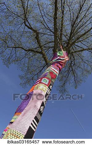 "Knitted tree, guerrilla knitting, knit art, graffiti knitting, Dusseldorf, Rhineland, North Rhine-Westphalia, Germany, Europe" View Large Photo Image Stock Photo - "Knitted tree, guerrilla knitting, knit art, graffiti knitting, Dusseldorf, Rhineland, North Rhine-Westphalia, Germany, Europe". Fotosearch