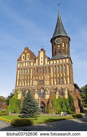 "Koenigsberg Cathedral, Kaliningrad, Oblast Kaliningrad, Russia, Europe" View Large Photo Image Stock Photograph - "Koenigsberg Cathedral, Kaliningrad, Oblast Kaliningrad, Russia, Europe". Fotosearch