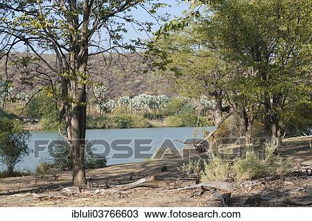 Stock Image - "Kunene River, the boundary river with Angola, Kunene River Lodge, Kunene Region, Namibia, Africa". Fotosearch