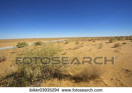 "Kyzyl Kum desert, Uzbekistan, Asia" View Large Photo Image Picture - "Kyzyl Kum desert, Uzbekistan, Asia". Fotosearch