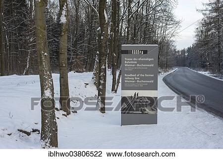 "KZ Buchenwald concentration camp, the former railway line in winter forest, information panel, on the right the so called Blutstrasse or blood road, Ettersberg, Weimar, Thuringia, Germany, Europe" View Large Photo Image Stock Image - "KZ Buchenwald concentration camp, the former railway line in winter forest, information panel, on the right the so called Blutstrasse or blood road, Ettersberg, Weimar, Thuringia, Germany, Europe". Fotosearch